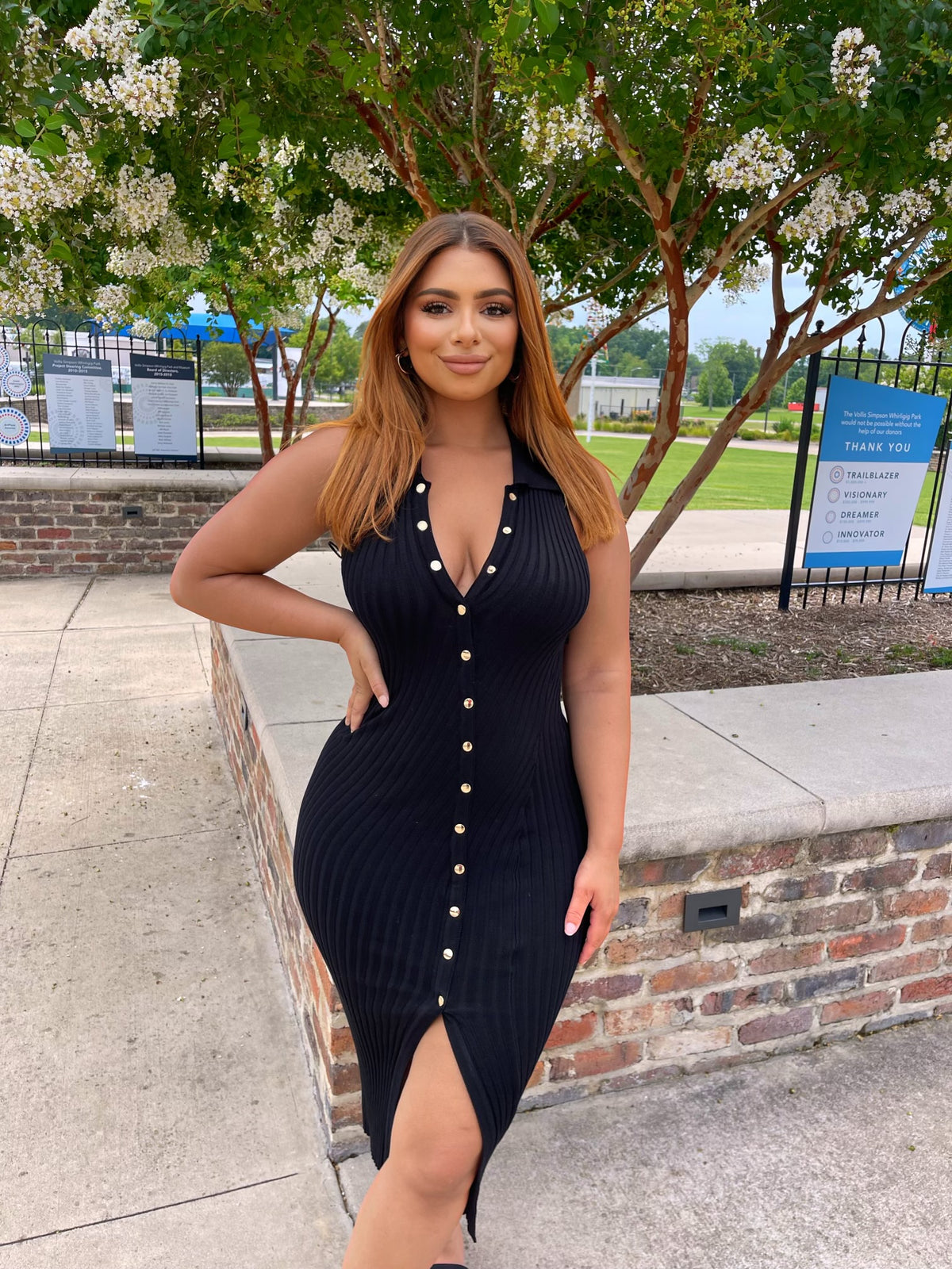 Bianca Button Down Midi Dress (More Colors)